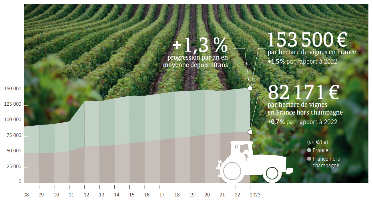 evolution du prix des vignes libres de bail en france